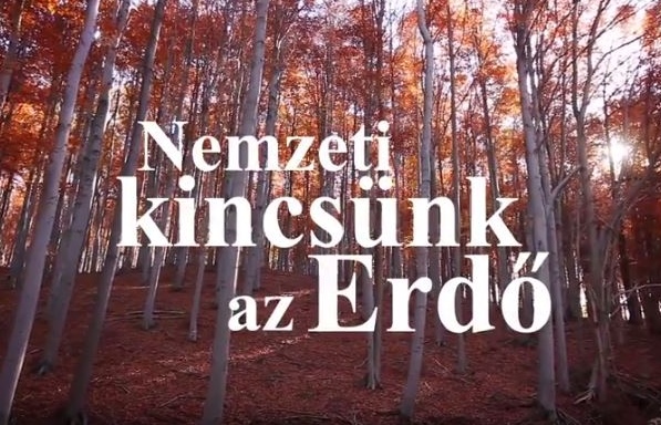 Nemzeti kincsünk az Erdő
